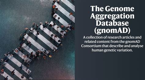 The genome Aggregation Database (gnomAD) .